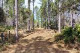 60 Acres Clyatt Road - Photo 3