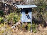 60 Acres Clyatt Road - Photo 35