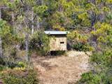 60 Acres Clyatt Road - Photo 37