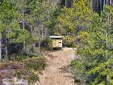 60 Acres Clyatt Road - Photo 38