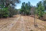 60 Acres Clyatt Road - Photo 4