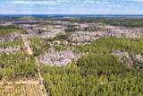 60 Acres Clyatt Road - Photo 41