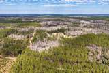 60 Acres Clyatt Road - Photo 42