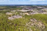 60 Acres Clyatt Road - Photo 43