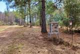 60 Acres Clyatt Road - Photo 5