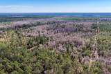 60 Acres Clyatt Road - Photo 54