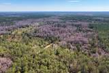 60 Acres Clyatt Road - Photo 59