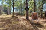 60 Acres Clyatt Road - Photo 6