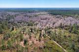 60 Acres Clyatt Road - Photo 60
