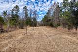 60 Acres Clyatt Road - Photo 8