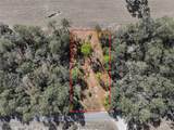 24456 Tiger Lake Boulevard - Photo 2