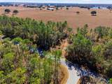 24456 Tiger Lake Boulevard - Photo 3