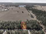 24456 Tiger Lake Boulevard - Photo 7