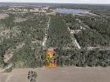 24456 Tiger Lake Boulevard - Photo 8