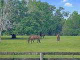 5378 Highway 329 - Photo 5