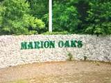 0000 Marion Oaks Boulevard - Photo 3