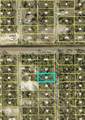 1121 Monroe Avenue - Photo 2