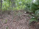 368 Nestle Avenue - Photo 5