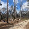  11TH STREET RD - Photo 4