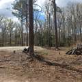  11TH STREET RD - Photo 5