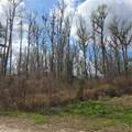  11TH STREET RD - Photo 7