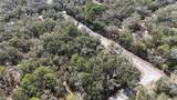 12784 Cypress Vine Lane - Photo 5