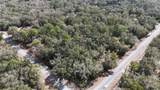12784 Cypress Vine Lane - Photo 7