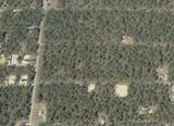 Lot 7 Hemlock Avenue - Photo 6