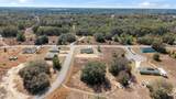 49 Locust Loop Circle - Photo 52