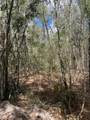  Cr 339 - Photo 20