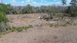  Hwy 316 - Photo 5