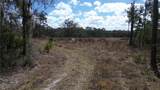  Hwy 316 - Photo 6