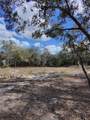 TBD 96TH Street - Photo 6