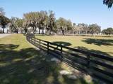  57TH Terrace - Photo 13