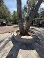 25314 141ST Street - Photo 5