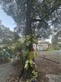 25203 141ST Lane - Photo 7