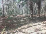 18954 County Rd 329 - Photo 1
