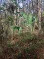 18954 County Rd 329 - Photo 3