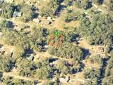 9948 Sandree Drive - Photo 2