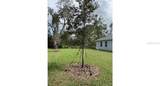 7724 Swiss Avenue - Photo 14