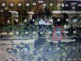 2406 Bluegrass Street - Photo 2