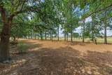 1429 160TH Lane - Photo 6
