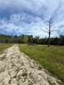 8798 Highway 318 - Photo 11