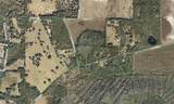 8798 Highway 318 - Photo 4