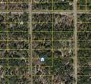 000 Paradise Heights Road - Photo 2