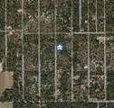 000 Paradise Heights Road - Photo 3