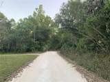 18111 Us Hwy 301 - Photo 12