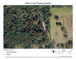 8282 38TH AVE Road - Photo 1