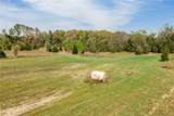 TBD 298 Street - Photo 14