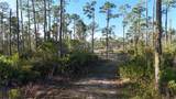 14350 Burnt Store Road - Photo 5